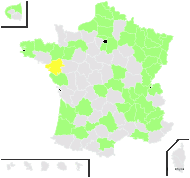 Aster ×salignus Willd. - carte de répartition