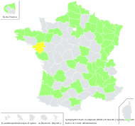 Aster ×salignus Willd. - carte de répartition