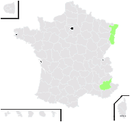 Hieracium auriculoides Láng - carte de répartition