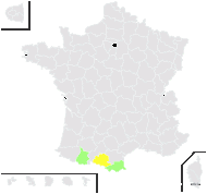 Hieracium aymericianum Arv.-Touv. - carte de répartition