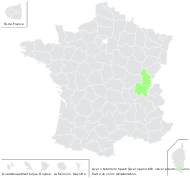 Acer ×hybridum Spach - carte de répartition