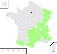 Adenostyles australis Ten. - carte de répartition