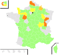 Adonis autumnalis var. micrantha (DC.) Rouy & Foucaud - carte de répartition