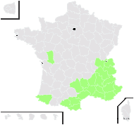 Thlaspi saxatile L. - carte de répartition