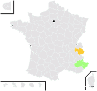 Hieracium vallisiacum Fr. - carte de répartition