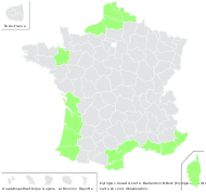 Agropyron pycnanthoides H.Lév. - carte de répartition