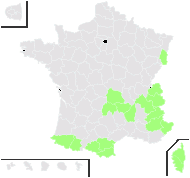 Agrostis montana Krock. - carte de répartition