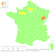 Allium sphaerocephalon L. - carte de répartition