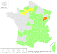Aronia amelanchier (L.) Dumort. - carte de répartition