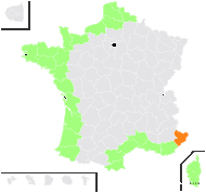 Ammophila arenaria (L.) Link - carte de répartition