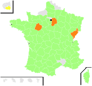 Anthemis sallei Sennen & Elías - carte de répartition