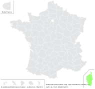 Anthoxanthum ovatum Lag. - carte de répartition