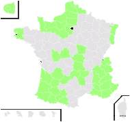 Anthriscus sylvestris (L.) Hoffm. subsp. sylvestris - carte de répartition