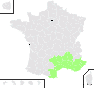 Gypsophila aggregata L. - carte de répartition