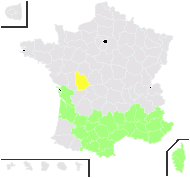 Aristolochia rotunda L. - carte de répartition