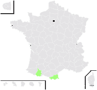 Armeria ruscinonensis Girard - carte de répartition