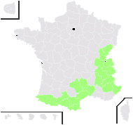 Aster alpinus L. - carte de répartition