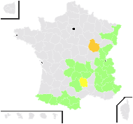 Astrantia candida Mill. - carte de répartition