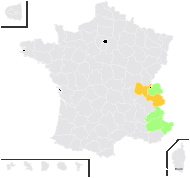 Hieracium callianthum Arv.-Touv. - carte de répartition