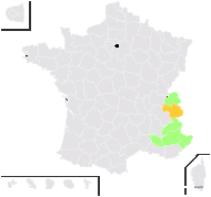 Hieracium chondrillifolium Fr. - carte de répartition