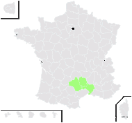 Hieracium christianbernardii de Retz - carte de répartition