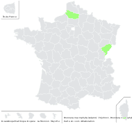 Myosotis macrophylla Adams - carte de répartition