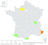 Bupleurum affine Sadler - carte de répartition