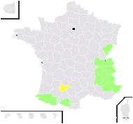 Bupleurum ranunculoides var. lapeyrousianum Rouy & E.G.Camus - carte de répartition