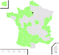 Convolvulus sepium L. var. sepium - carte de répartition