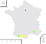 Hieracium cordatum Scheele ex Costa - carte de répartition