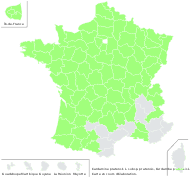 Cardamine pratensis L. subsp. pratensis - carte de répartition