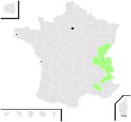 Hieracium cottetii Christener - carte de répartition