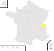 Carduus ×moritzii Brügger n-subsp. moritzii - carte de répartition