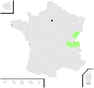 Carduus ×digeneus Beck - carte de répartition