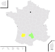 Carduus ×puechii H.J.Coste - carte de répartition