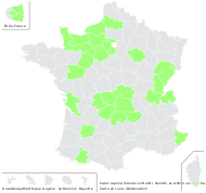Carex cuprina (Sandor ex Heuff.) Nendtv. ex A.Kern. var. cuprina - carte de répartition