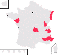 Hieracium diaphanoides Lindeb. - carte de répartition