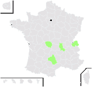 Hieracium diaphanum Fr. - carte de répartition