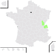 Vignea ×germanica (K.Richt.) Soják - carte de répartition