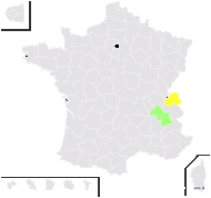 Carex ×microstyla J.Gay - carte de répartition