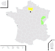 Carex ×ohmuelleriana O.Lang - carte de répartition