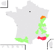 Carlina acaulis L. subsp. acaulis - carte de répartition