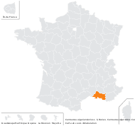 Centaurea algeriensis Coss. & Durieu - carte de répartition