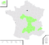 Centaurea maculosa Lam. subsp. maculosa - carte de répartition