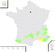 Centaurea gallica Gugler - carte de répartition