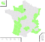 Centaurea badensis Tratt. - carte de répartition