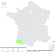 Hieracium fourcadei de Retz - carte de répartition