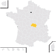 Centaurea ×digenea Rouy - carte de répartition