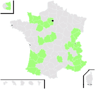 Gentiana ramosissima Vill. - carte de répartition