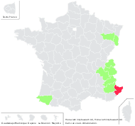 Hieracium intybaceum All. - carte de répartition